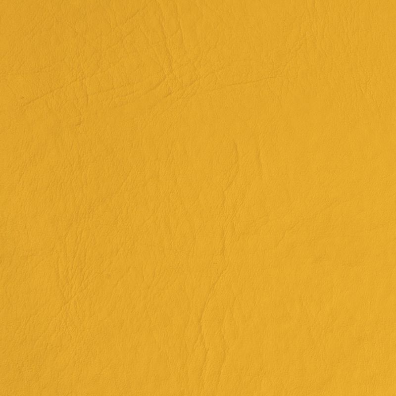 cuerina-bufalo-amarillo-04