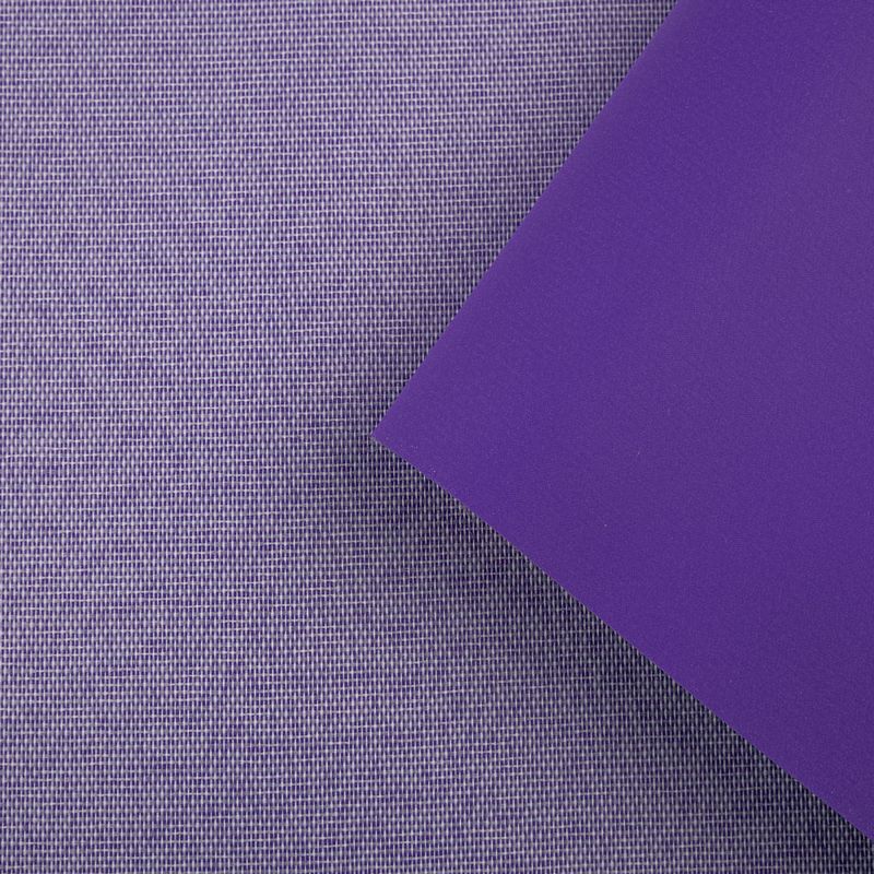 bagun-violeta-02