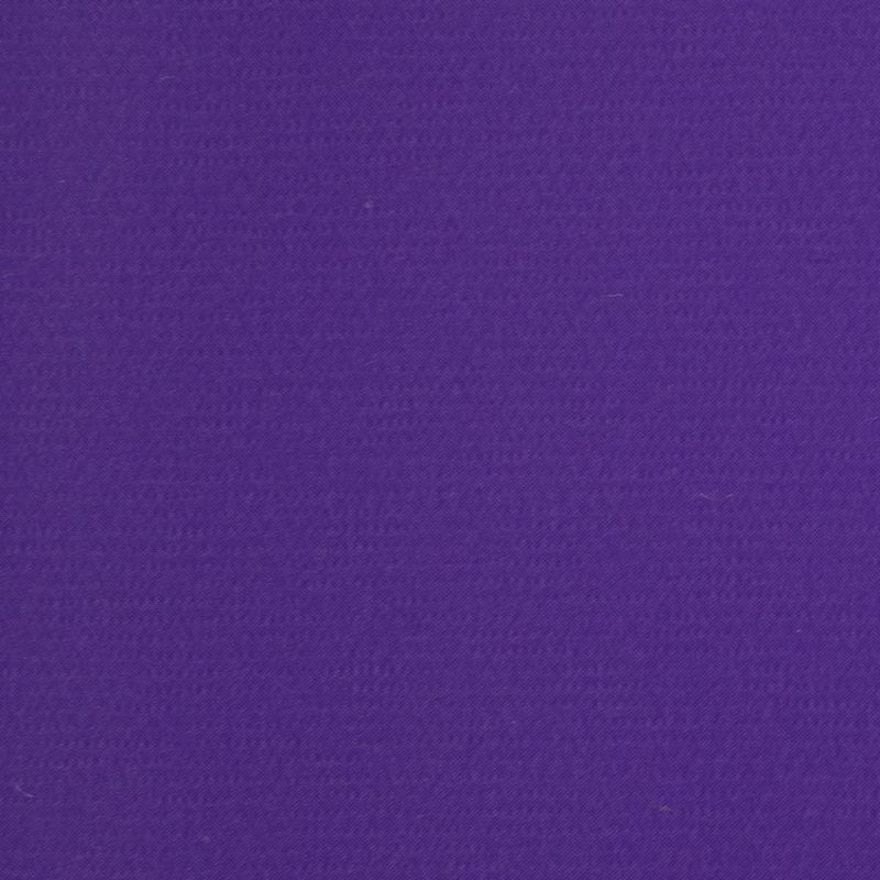 bagun-violeta-03